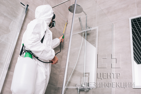 Санитарная обработка от тараканов в квартире  в Наро-Фоминске